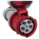cee_close_up_3_1.webp